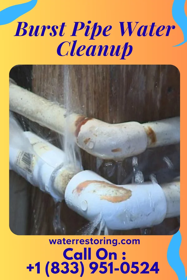Burst Pipe Water Cleanup in Fordyce, AR